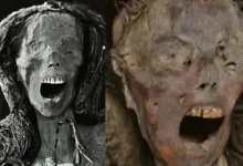 The Mummy's Cry_ A Shocking Scientific Discovery