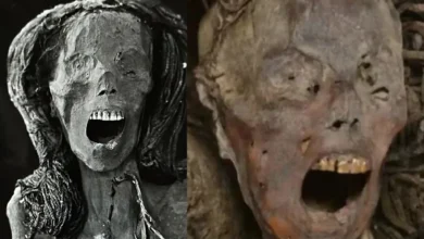 The Mummy's Cry_ A Shocking Scientific Discovery