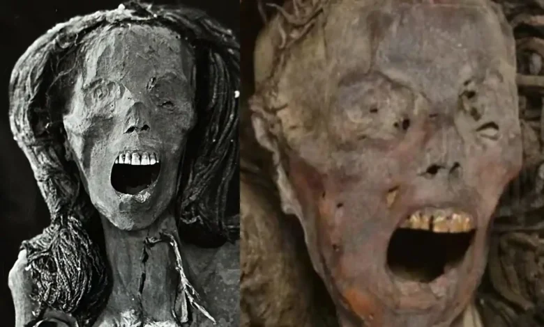 The Mummy's Cry_ A Shocking Scientific Discovery